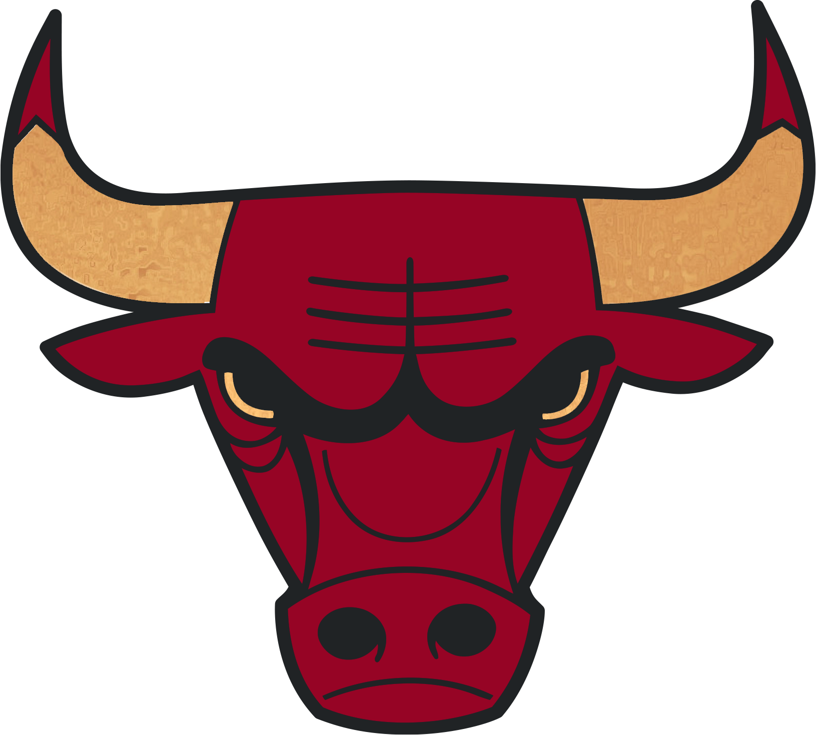 Doudoune Chicago Bulls